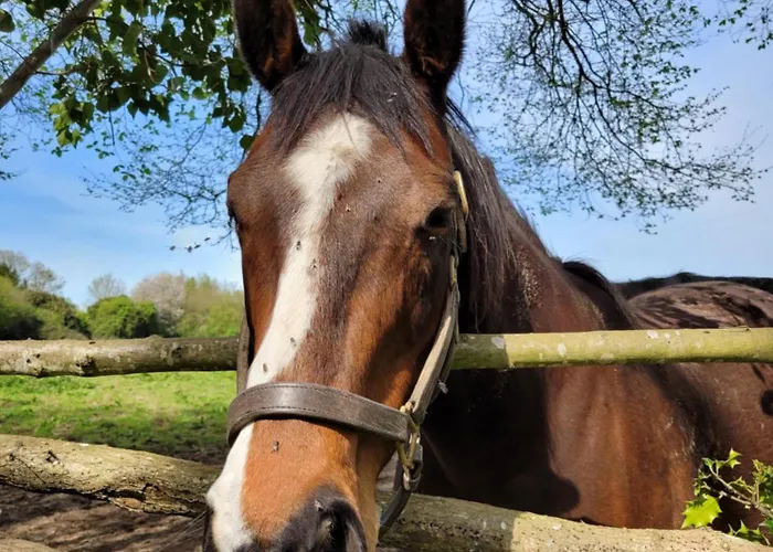 -parking Prive -la Batisse -coeur Historique - La Clef De *