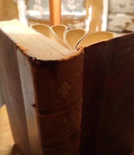 Apartment -parking Prive -la Batisse -coeur Historique - La Clef De *