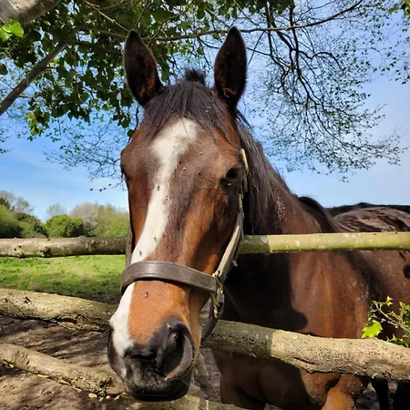 -parking Prive -la Batisse -coeur Historique - La Clef De *