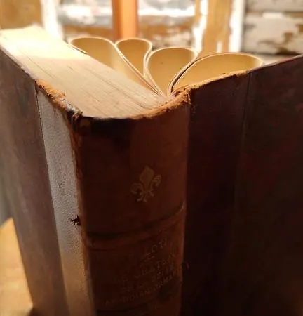 Apartment -parking Prive -la Batisse -coeur Historique - La Clef De *