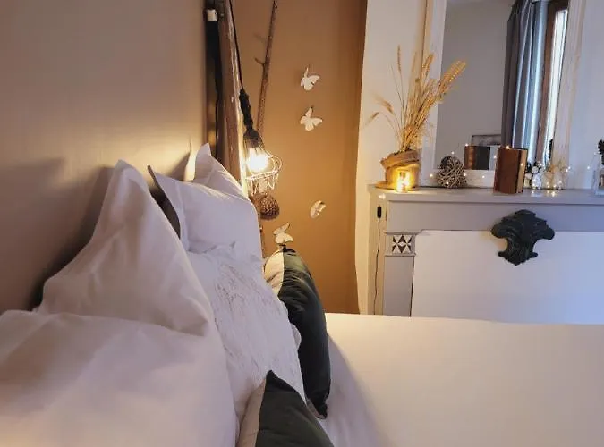 Апартаменты -parking Prive -la Batisse -coeur Historique - La Clef De *